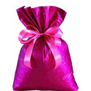 6SMC - Saco Metalizado Cromus 20x30cm - Pacote com 50 unidades