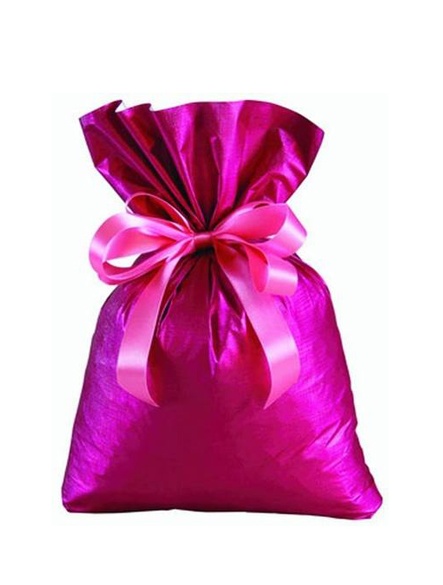 6SMC - Saco Metalizado Cromus 20x30cm - Pacote com 50 unidades