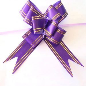 134-3 Laço Mágico Colorido Pacote com 10 unidades - 1,2x25 cm